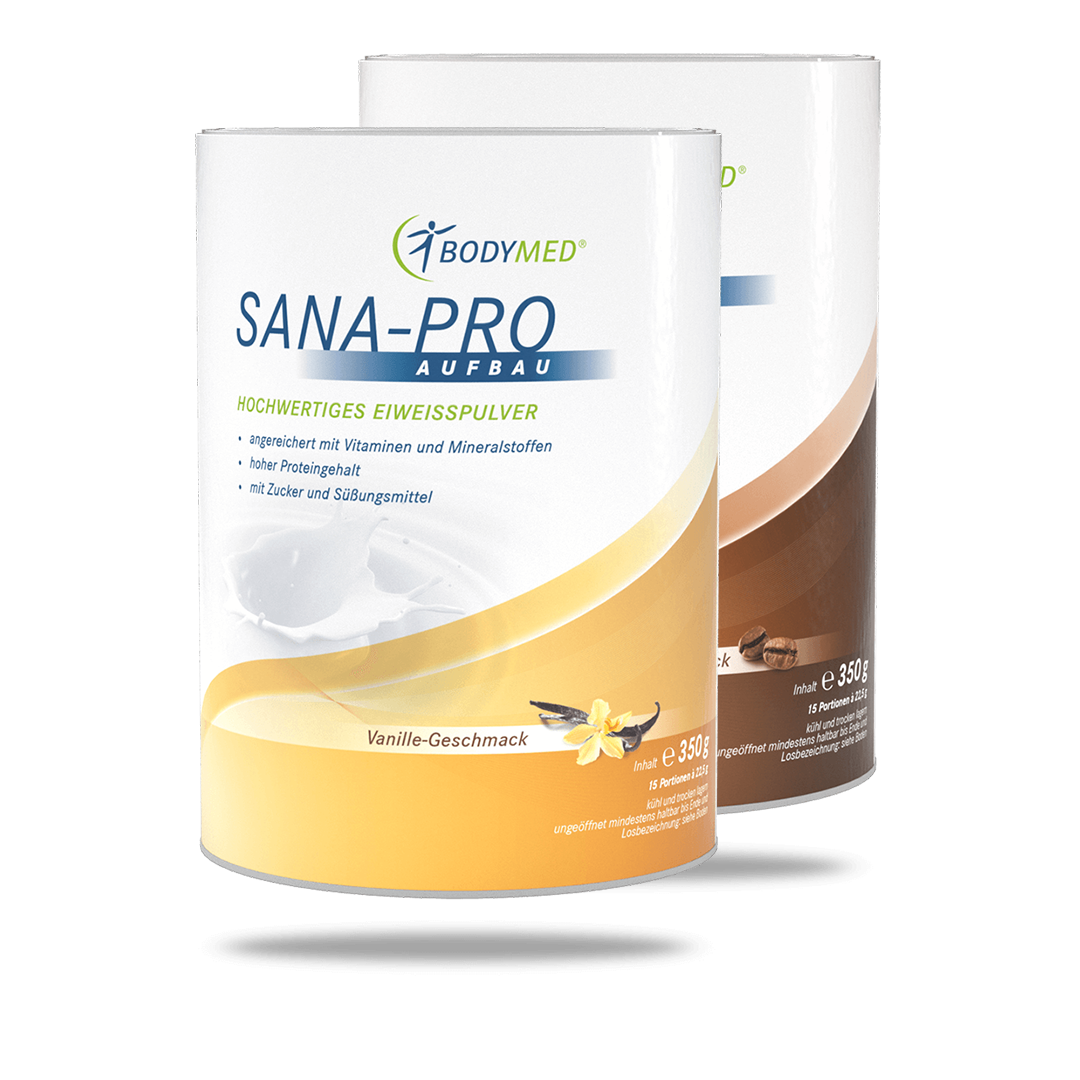 Sana-Pro Aufbau